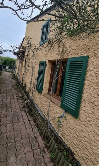 Warm Tan + Forest Green — Country