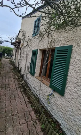 Before — facade without Warm Tan + Forest Green (Country)