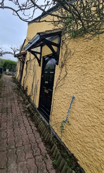 Buttercup Yellow + Jet Black — Regency